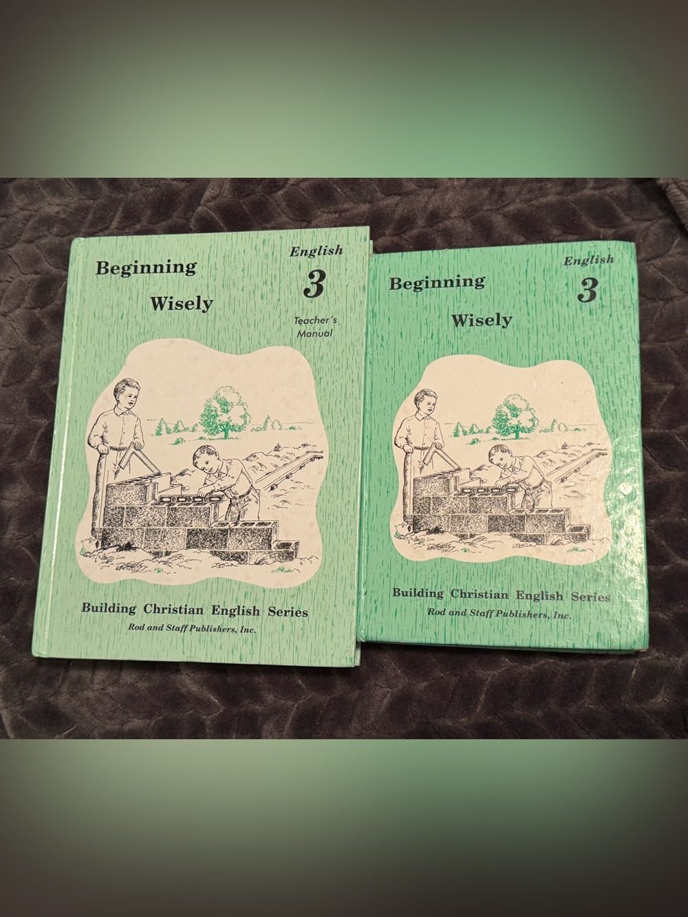 Rod and Staff Beginning Wisely English 3 Student Textbook & Manual Homeschool